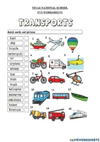 Transport