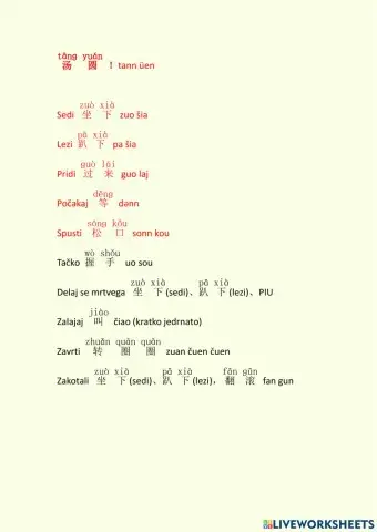 汤圆指令 Chinese