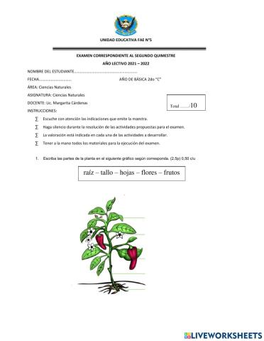 Examen Quimestral Ciencias Naturales