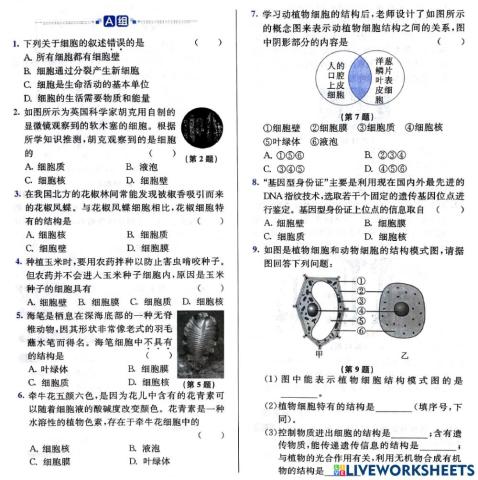 初一科学细胞复习