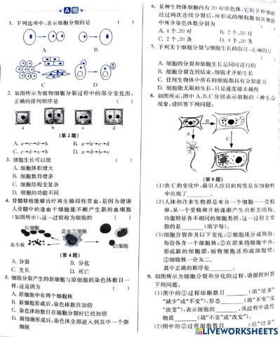 初一科学细胞分裂分化复习