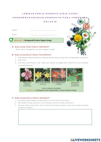 Perkembangbiakan generatif pada Tumbuhan