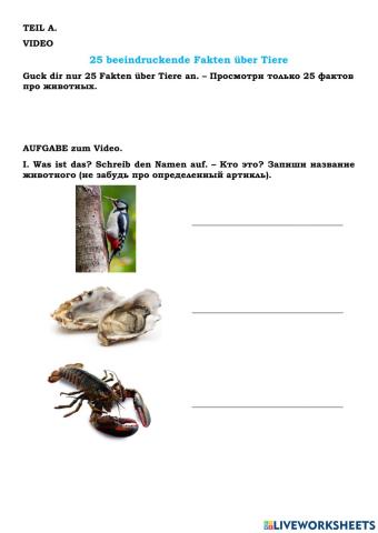 25 Fakten über Tiere