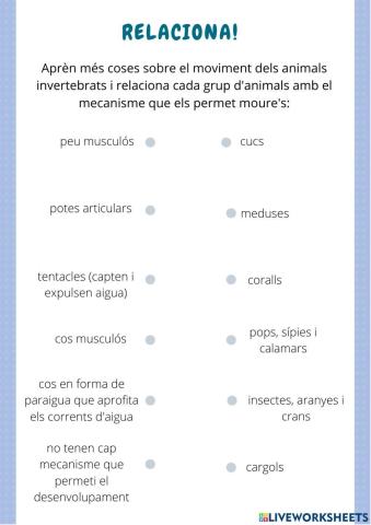 Animals Invertebrats