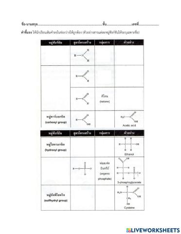 แบบฝึกหัดหมู่ฟังก์ชัน