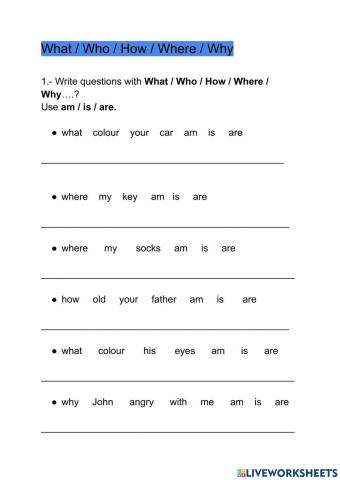 Where, what, who, how