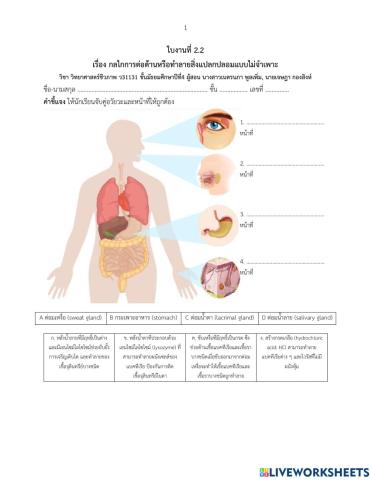 ใบงานที่ 2.2  เรื่อง กลไกการต่อต้านหรือทำลายสิ่งแปลกปลอมแบบไม่จำเพาะ