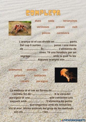 Completa: aranya i medusa.