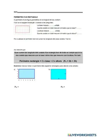 Activitat Figures planes