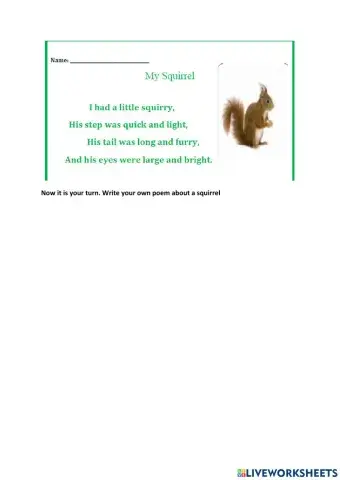 My Squirrel Poetry