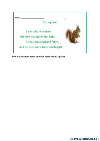 My Squirrel Poetry