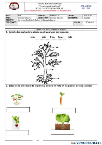 Examen de CIencias Naturales