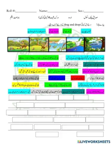 تخلیقی کاوش