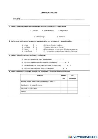 Examen Quimestral 2