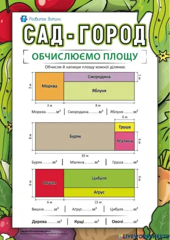 Площа прямокутника