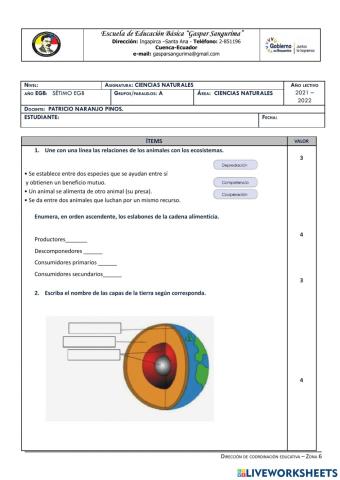 Examen de CCNN  II Quimestre