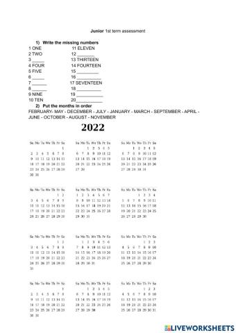 Junior 1st term assessment