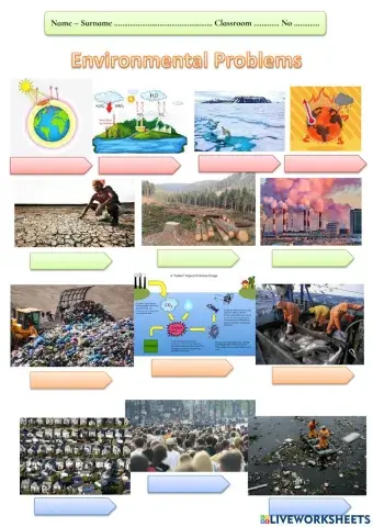 Environmental problems