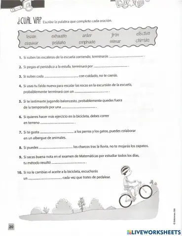 Vocabulario 3