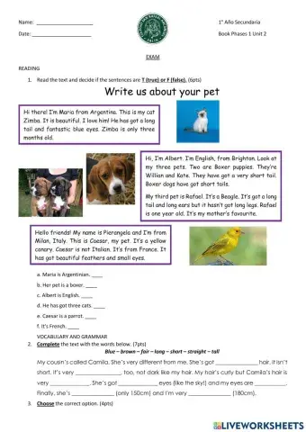 Test Unit 2 Phases 1