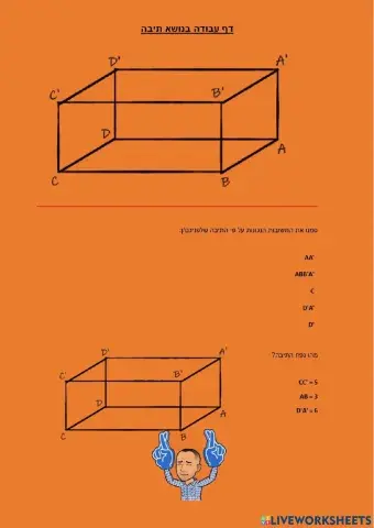 תיבה - הכרות וחישוב נפח