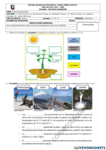 Examen - segundo quimestre