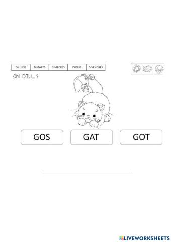 Troba la paraula correcta