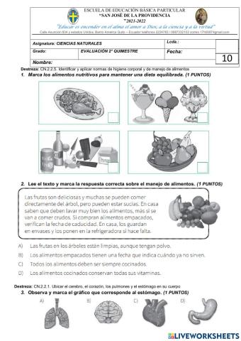 Examen quimestral de ciencias naturales