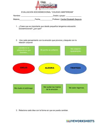 Evaluacion socioemocional