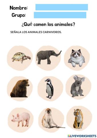 Conociendo los animales