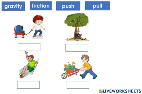 Sm sd 6 science forces 2