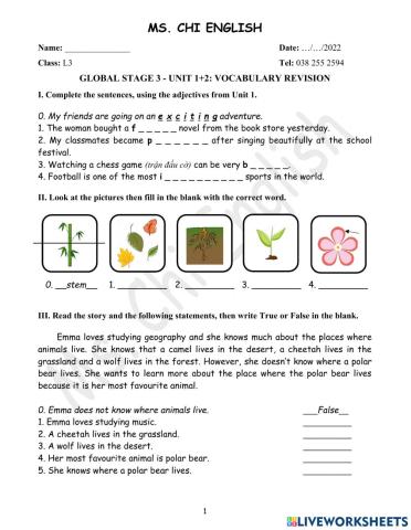Foreign-Teacher-L3-U12-VOCAB-REVISION