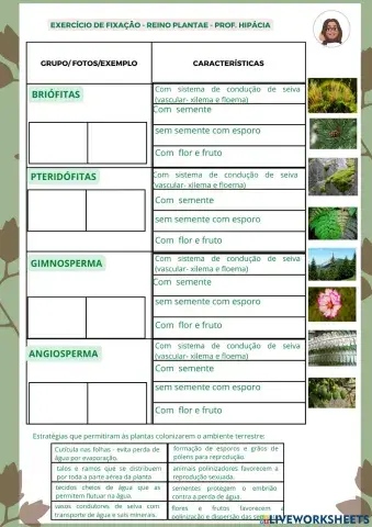 Reino Plantae classificação