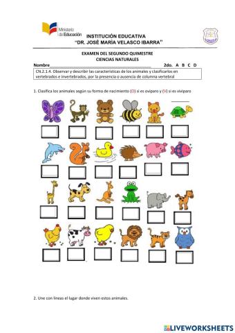 Evalucación de ccnn