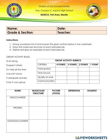 Activity: biomolecules