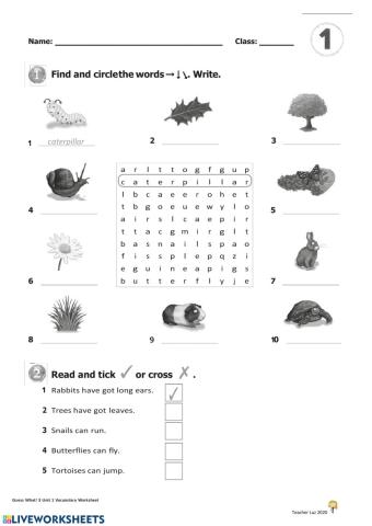 GW3 Unit1 Vocabulary