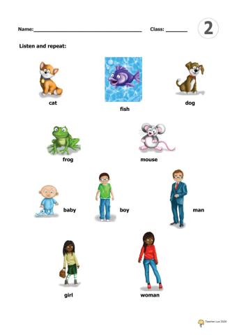 GW2 Unit2 Vocabulary