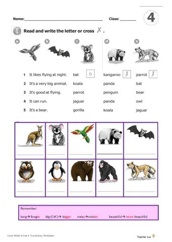 GW4 Unit4 Vocabulary-Grammar