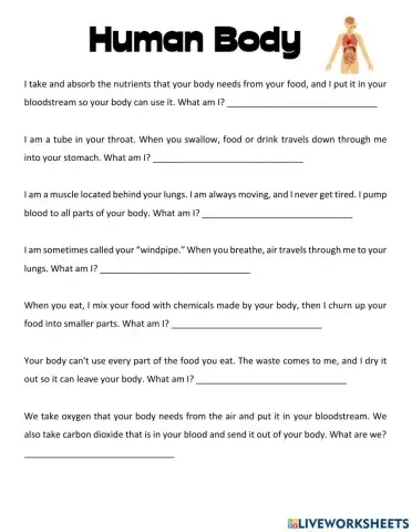 Body Systems Worksheet