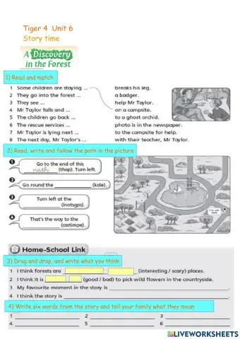 A Discovery at the forest  Tiger 4 Unit 6