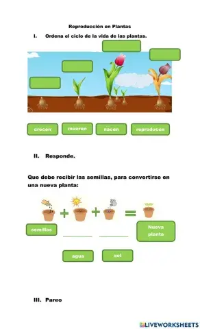 Reproducción en plantas