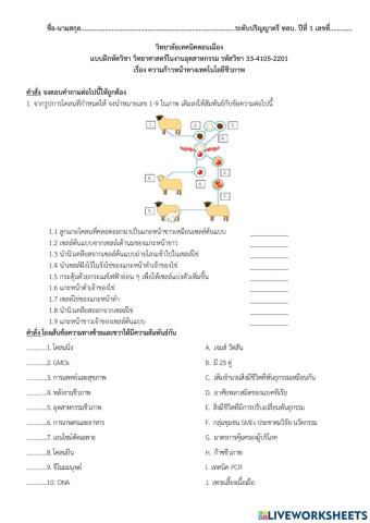 ใบงานที่ 3 ความก้าวหน้าทางเทคโนโลยีชีวภาพ
