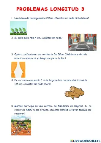 Problemas longitud