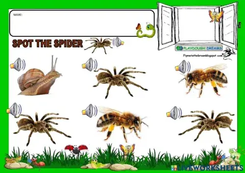 Spot the spider