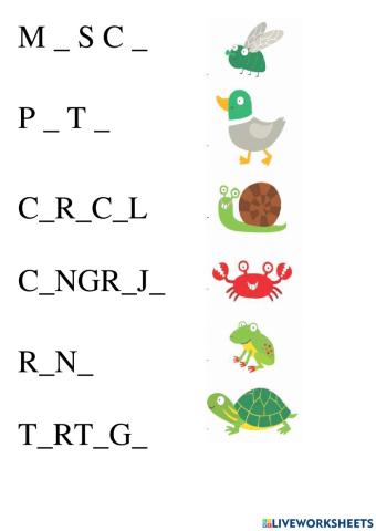 Los amigos del sapito