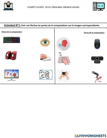 Los Sentidos y la PC