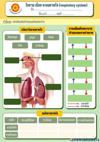ระบบหายใจ (respiratory system)