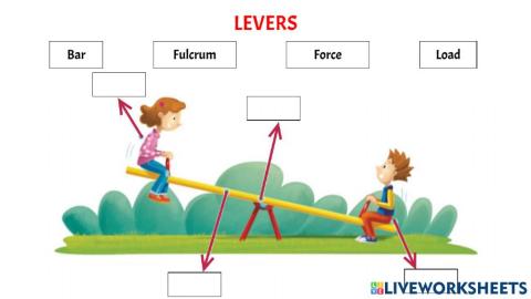 Levers and type of levers