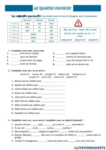 Les Adjectifs Possessifs