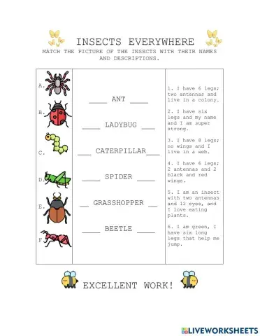 Insects everywhere 2